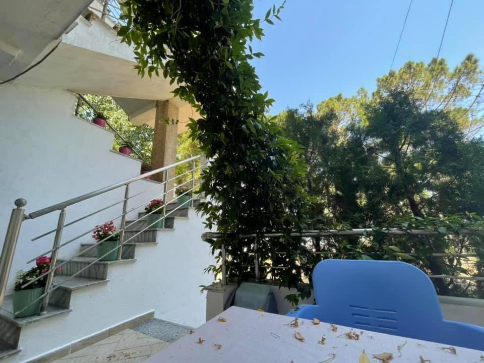 Aparthotel Vila Tufi Velipoje Ngoại thất bức ảnh