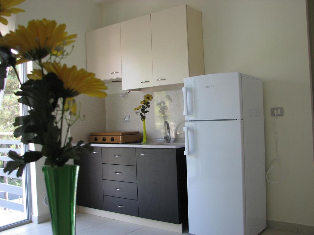 Aparthotel Vila Tufi Velipoje Ngoại thất bức ảnh